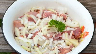 шашлык из свинины