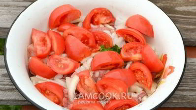 шашлык из свинины