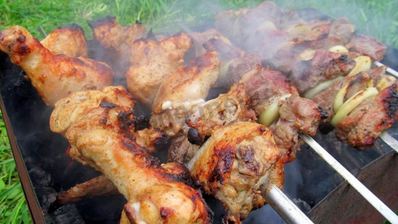 шашлык с горчицей из курицы