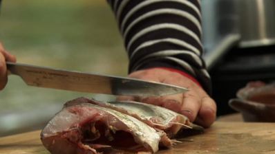 стейки из толстолобика с печеной морковью и овощами гриль