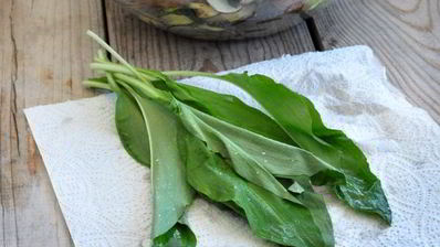 тибон стейк