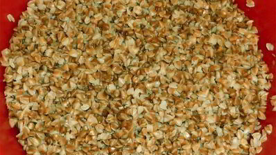 тефтельки из курицы и гречки в соусе