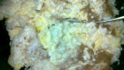 вареники с творожно-ореховой начинкой