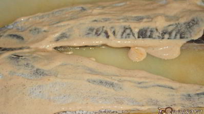 новогоднее рыбное жаркое оскал дракона