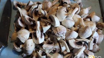 жаркое из курицы с овощами