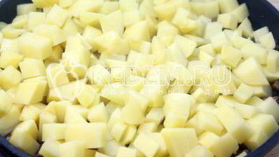 жаркое с грибами и сметаной