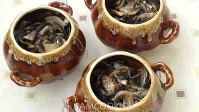 жаркое с грибами в горшочках
