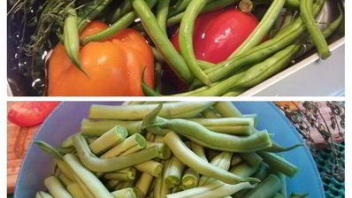 жаркое со стручковой фасолью