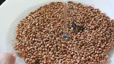 гречневая каша на воде в мультиварке