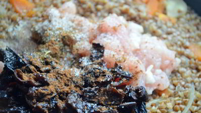 гречневая каша по-царски