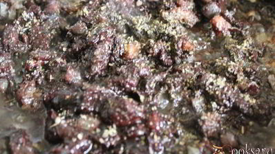 кашанка с гречкой