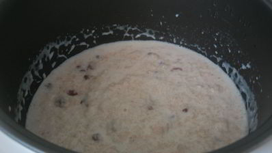 молочная овсяная каша с изюмом