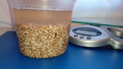 перловая каша