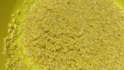 пшенная каша с тыквой и вареньем