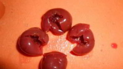 рождественская кутья из риса