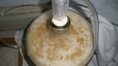 австрийское пиво