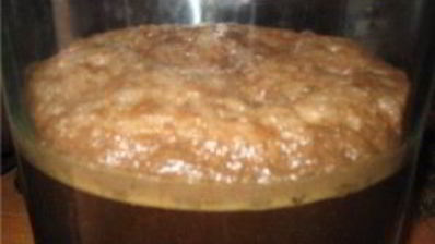 австрийское пиво