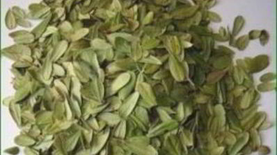 брусничный чай