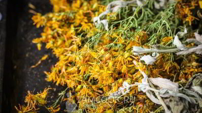 чай из зверобоя