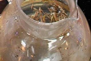 Чай Молочный улун