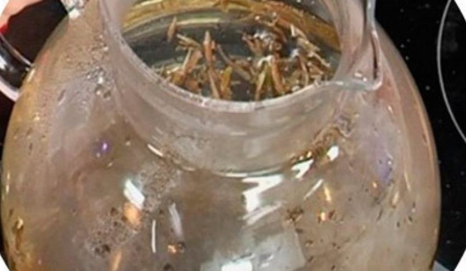 Рецепт чая молочного улун