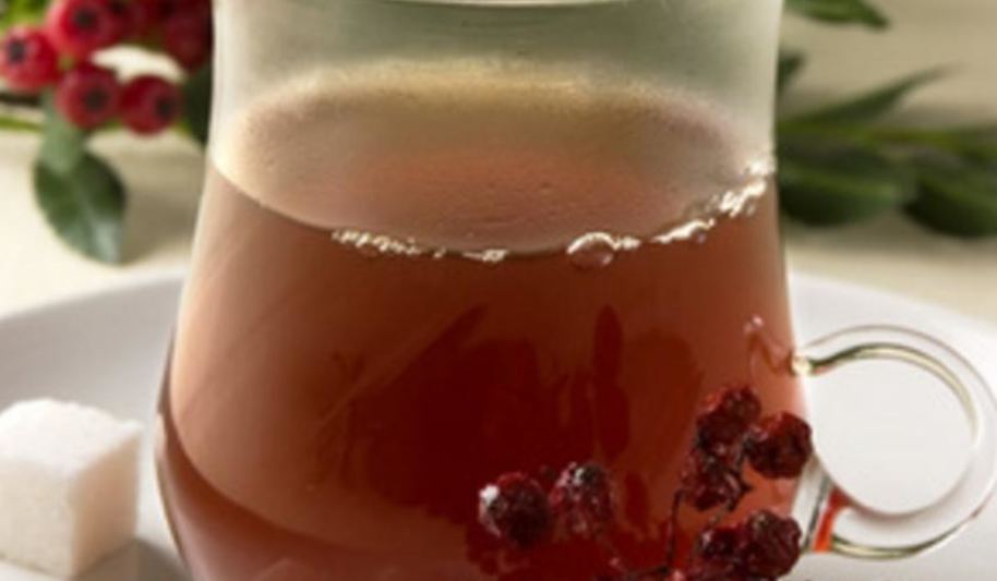 Рецепт чая рябинового