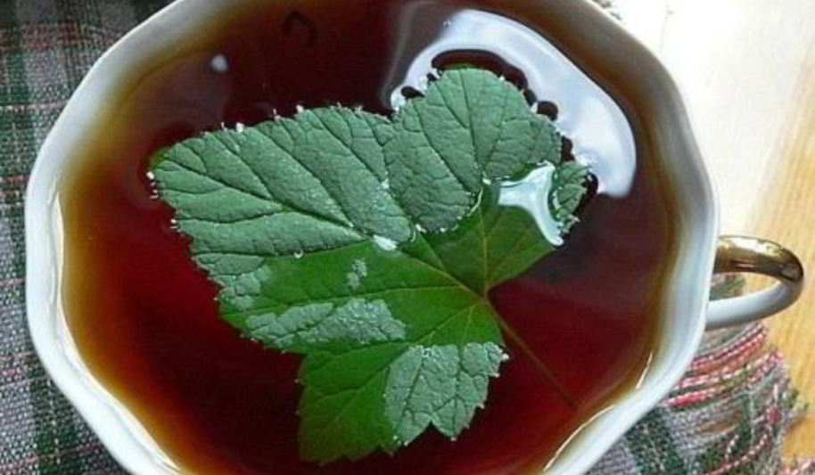 Рецепт чая татарского со смородиной и медом