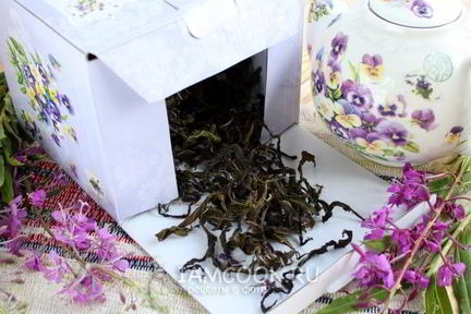 Иван чай ферментированный крупнолистовой