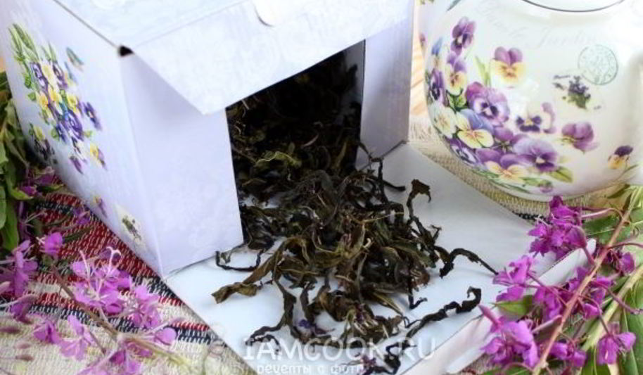 Рецепт ивана чая ферментированного крупнолистового