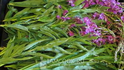 иван чай ферментированный крупнолистовой