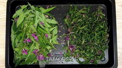 иван чай ферментированный крупнолистовой