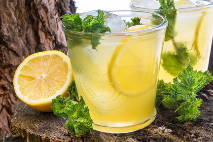 Холодный зеленый чай с лимоном и медом