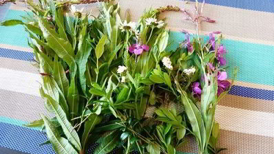 копорский чай с травами