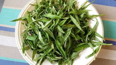 копорский чай с травами