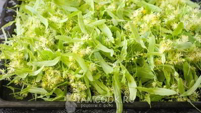 липовый чай