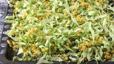 липовый чай