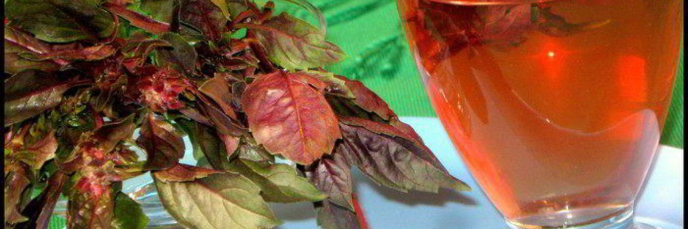 Очень полезный, вкусный холодный чай из базилика