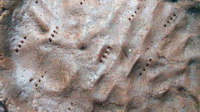 шоколадный тарт