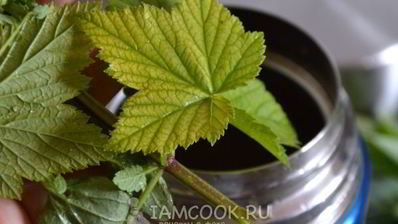 травяной чай в термосе