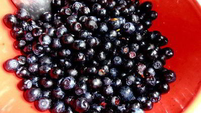 черничный коктейль с бальзамом