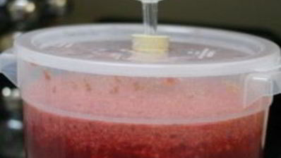 домашнее вино из малины