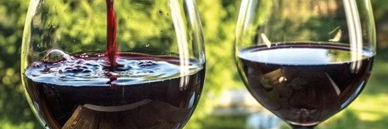 Домашнее вино из смородины без дрожжей