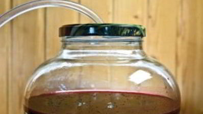 домашнее вино из смородины без дрожжей