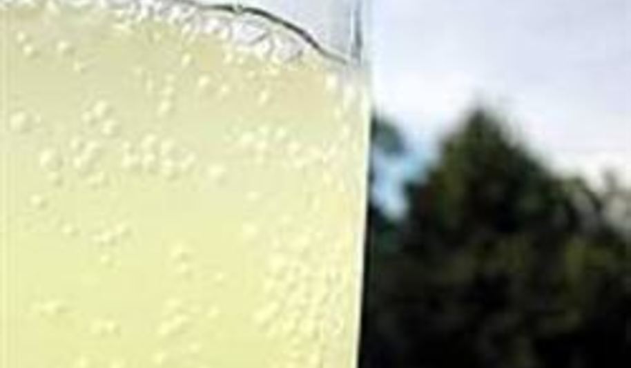 Рецепт имбирного эля