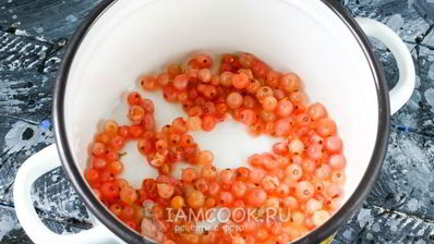 кисель из кукурузного крахмала