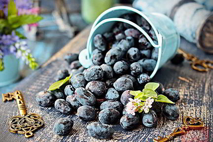 Кисель из жимолости