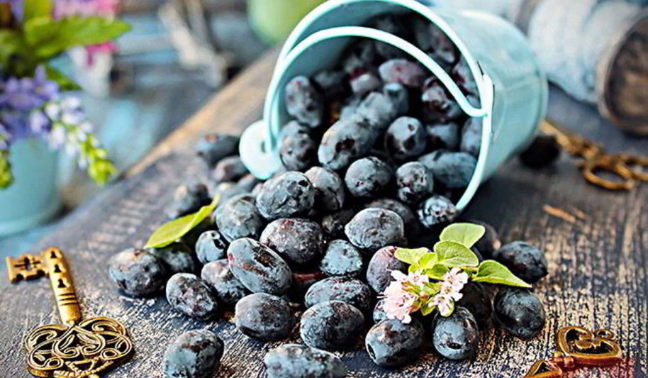 Рецепт киселя из жимолости