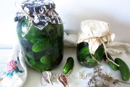 Огурцы квашеные с водкой