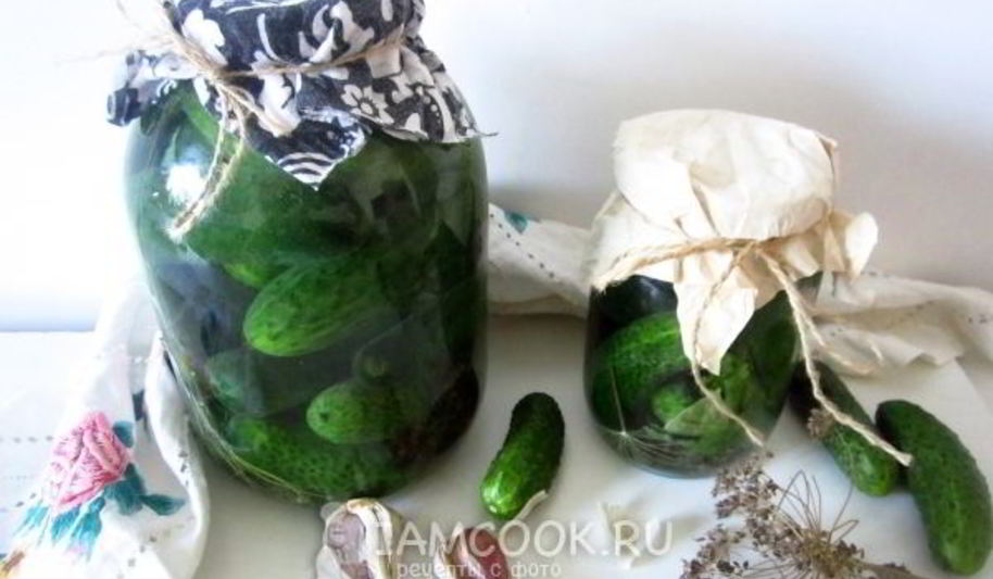 Рецепт огурцов квашеных с водкой