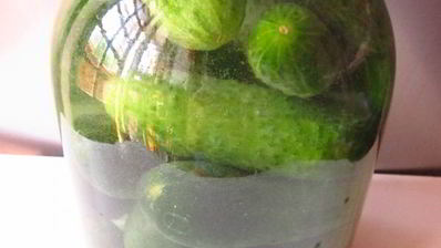 огурцы квашеные с водкой